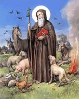 17 gennaio: festa del Santo protettore degli animali