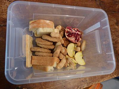 PACHAMAMA ovvero LE PIACERANNO LE NOCCIOLINE? PACHAMAMA ovvero LE PIACERANNO LE NOCCIOLINE?