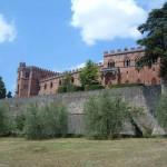 Castello di Brolio visto dall'oliveta