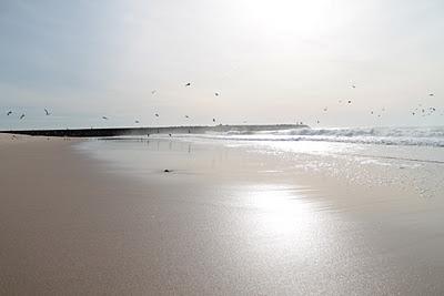 Figueira da Foz, Mare Spiaggia e Sole