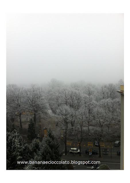 La galaverna a Parma La galaverna a Parma