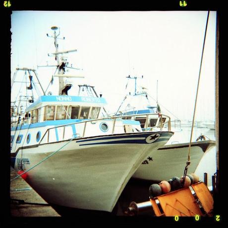 LOMOGRAPHY • ami 66 e Lomography x-pro Slide 200 / TEST ROLL LOMOGRAPHY • ami 66 e Lomography x-pro Slide 200 / TEST ROLL