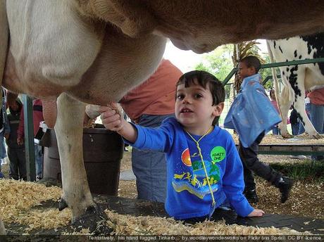 Latte e bimbo LATTE SCADUTO RIBOLLITO: ANCORA UNA BUFALA CHE CORRE IN RETE