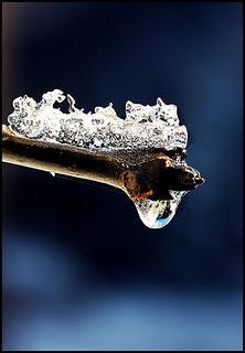 Allora, ricominciamo?.... Allora, ricominciamo?....