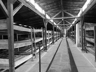 La giornata della memoria, la Shoah, Auschwitz e altri orrori La giornata della memoria, la Shoah, Auschwitz e altri orrori
