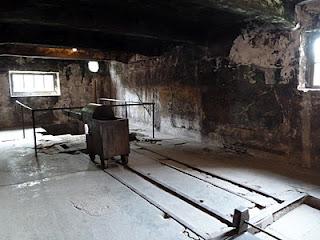 La giornata della memoria, la Shoah, Auschwitz e altri orrori La giornata della memoria, la Shoah, Auschwitz e altri orrori