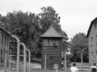 La giornata della memoria, la Shoah, Auschwitz e altri orrori La giornata della memoria, la Shoah, Auschwitz e altri orrori
