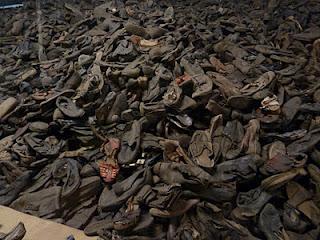 La giornata della memoria, la Shoah, Auschwitz e altri orrori La giornata della memoria, la Shoah, Auschwitz e altri orrori