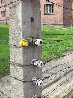 La giornata della memoria, la Shoah, Auschwitz e altri orrori La giornata della memoria, la Shoah, Auschwitz e altri orrori