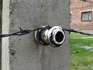 La giornata della memoria, la Shoah, Auschwitz e altri orrori La giornata della memoria, la Shoah, Auschwitz e altri orrori