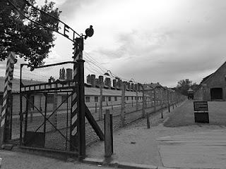 La giornata della memoria, la Shoah, Auschwitz e altri orrori La giornata della memoria, la Shoah, Auschwitz e altri orrori