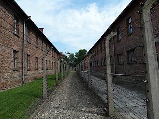 La giornata della memoria, la Shoah, Auschwitz e altri orrori La giornata della memoria, la Shoah, Auschwitz e altri orrori