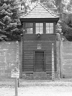 La giornata della memoria, la Shoah, Auschwitz e altri orrori La giornata della memoria, la Shoah, Auschwitz e altri orrori