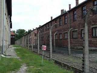 La giornata della memoria, la Shoah, Auschwitz e altri orrori La giornata della memoria, la Shoah, Auschwitz e altri orrori