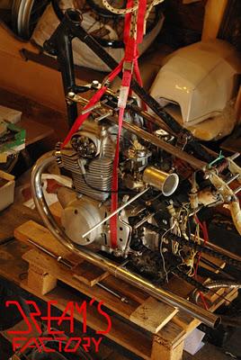 Goliardo by Dream's Factory Goliardo by Dream's Factory