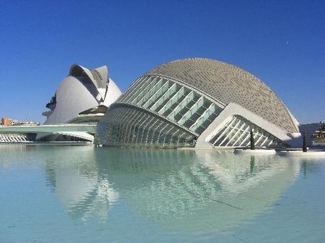 Valencia: emozioni animalesche!