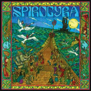 Spirogyra