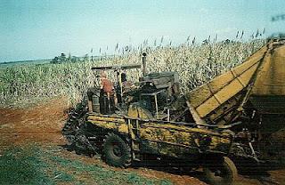 Cuba: i brasiliani entrano nel settore dello zucchero e guardano ai biocarburanti