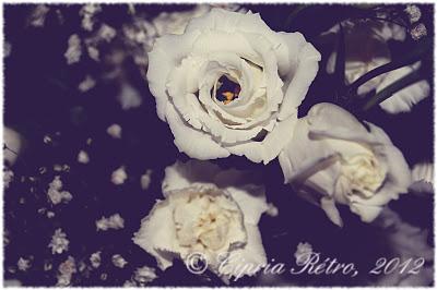 Tè di Imbolc dalla zia Annita Tè di Imbolc dalla zia Annita