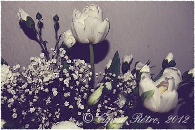 Tè di Imbolc dalla zia Annita Tè di Imbolc dalla zia Annita