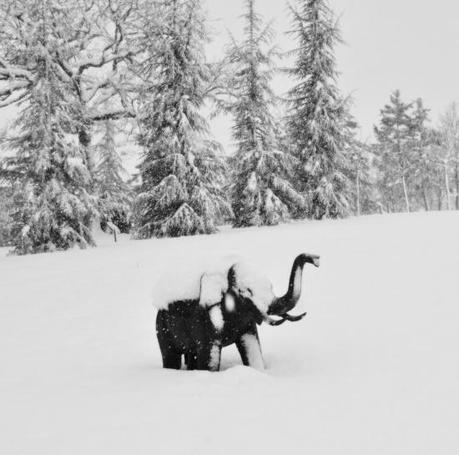 DSC_8407 Winterfell.