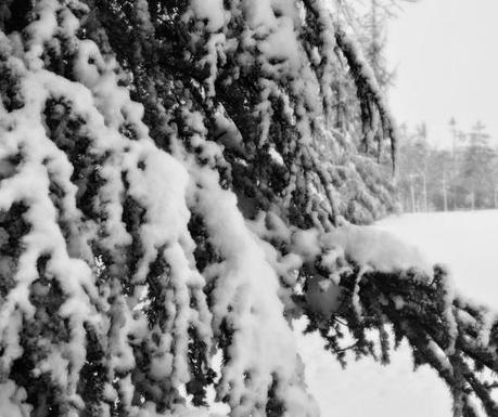 DSC_8411 Winterfell.