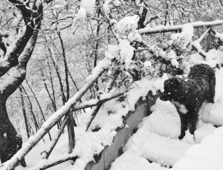 DSC_8423 Winterfell.