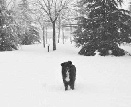 DSC_8405 Winterfell.