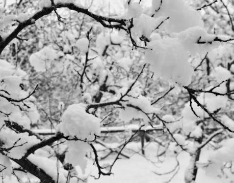 DSC_8420 Winterfell.