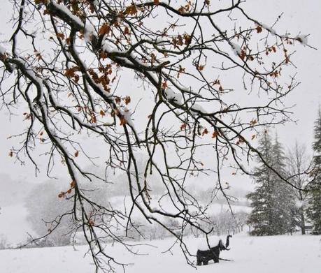 DSC_8414 Winterfell.