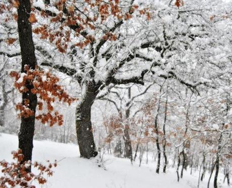 DSC_8425 Winterfell.