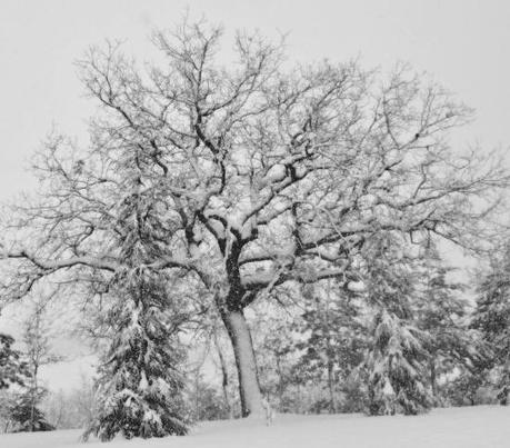 DSC_8406 Winterfell.