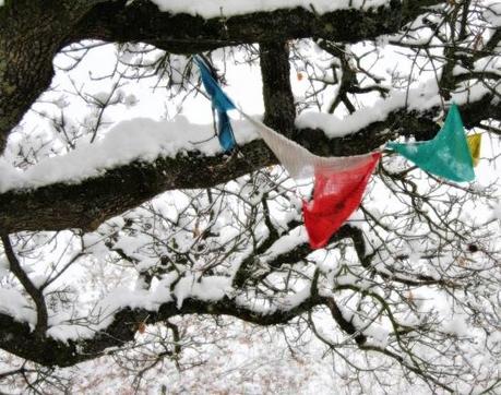 DSC_8417 Winterfell.