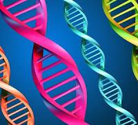 Scoperto un nuovo metodo per rilevare la presenza di DNA