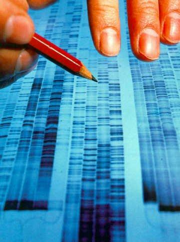 Scoperto un nuovo metodo per rilevare la presenza di DNA