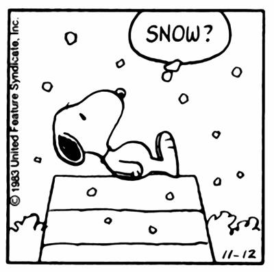 La neve è uguale per tutti. O no?