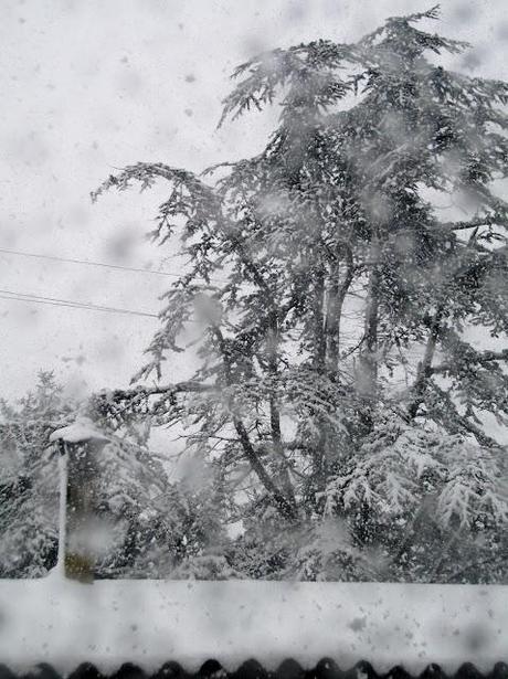 Dalle mie finestre: 1-2-3-febbraio 2012 Neve Fu!!!