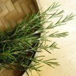 rosmarino Risotto al rosmarino: Cucinando con Simona (2)