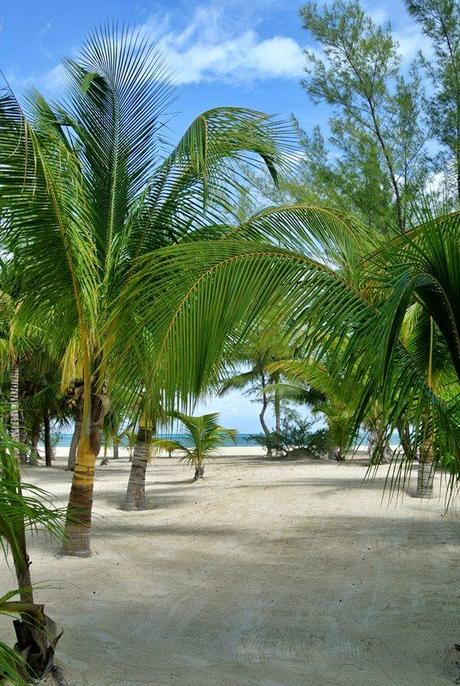 In diretta da Costa Atlantica: Cozumel e la Isla Pasion.