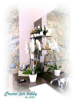 Le mie orchidee Le mie orchidee