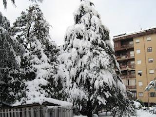 Neve ad Avellino