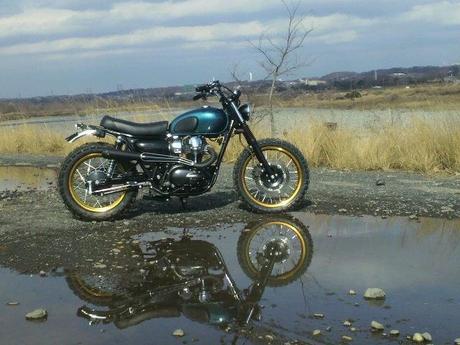 W 800 Scrambler W 800 Scrambler