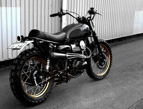 W 800 Scrambler W 800 Scrambler