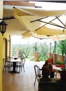 le mandorlaie le mandorlaie