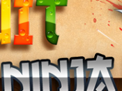 Fruit Ninja gioco gratis per Windows XP, Windows Vista, Windows 7 gratis :.