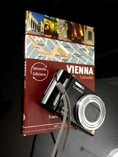 Un valzer tra i pixel: uno sguardo su Vienna, parte prima