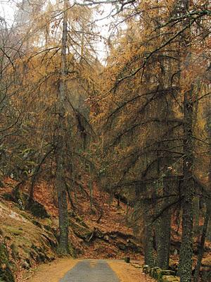 La stella di Hermes La stella di Hermes