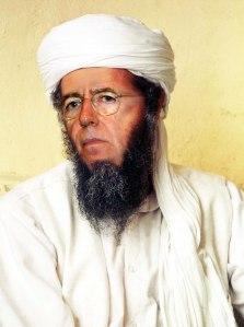 La nuova al-Qaida