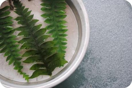 Inverno 2011-2012 Decorazioni d’inverno per il giardino. Inverno 2011-2012 Decorazioni d’inverno per il giardino.