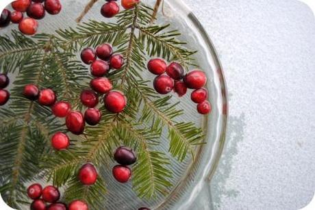 Inverno 2011-2012 Decorazioni d’inverno per il giardino. Inverno 2011-2012 Decorazioni d’inverno per il giardino.